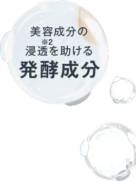 発酵成分